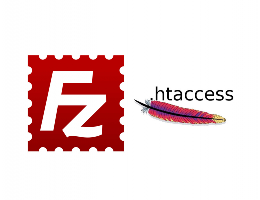 Afficher les fichiers .htaccess dans Filezilla | webdevpro.net